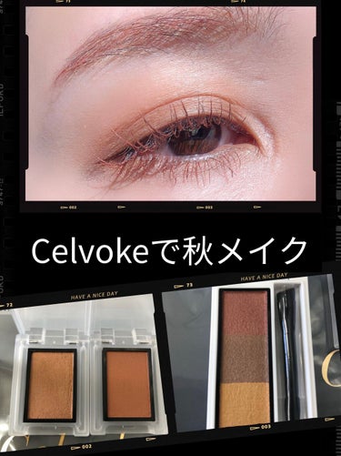 セルヴォーク ヴォランタリー アイズ 01/Celvoke/シングルアイシャドウを使ったクチコミ（1枚目）