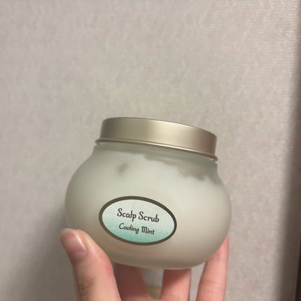 ヘッドスクラブ リフレッシング(ミント)/SABON/ヘッドスクラブを使ったクチコミ(2枚目)