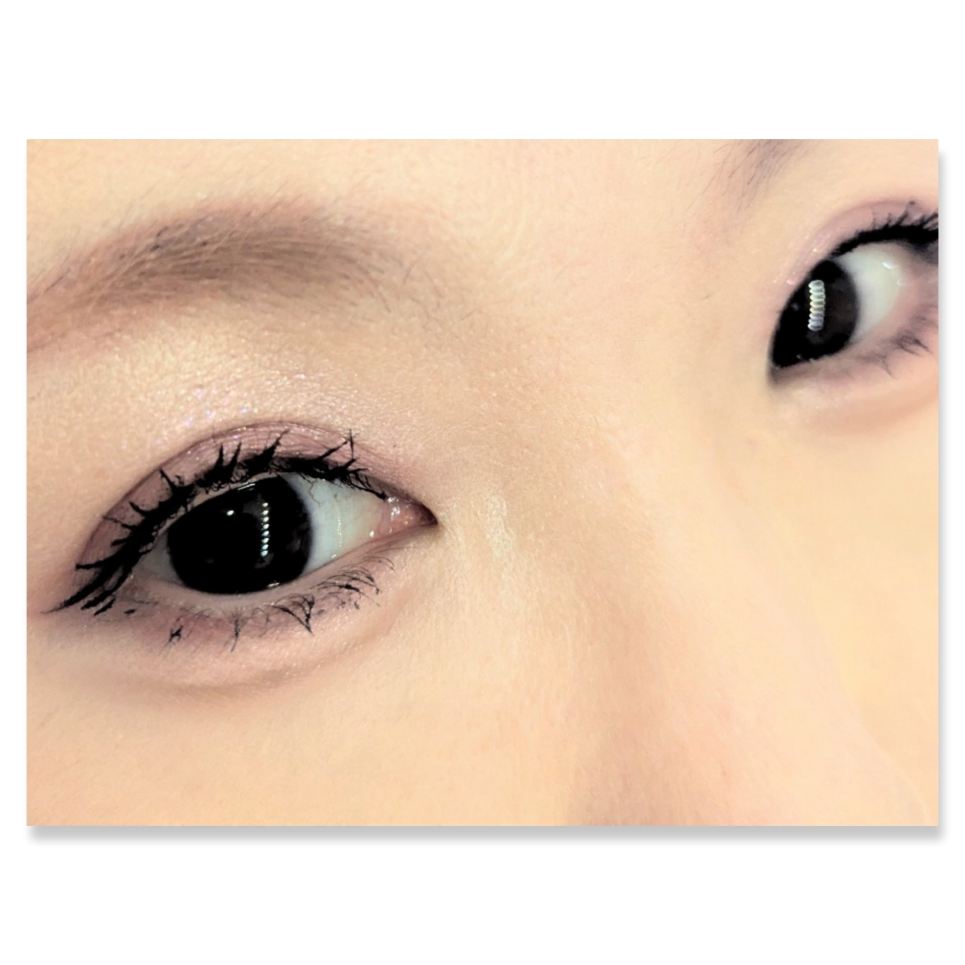 ニュアンス マット クリエイター/Visée/アイシャドウパレットを使ったクチコミ（2枚目）