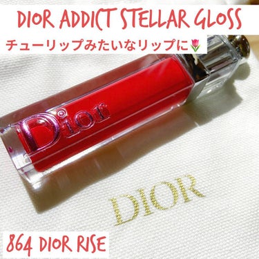 【旧】ディオール アディクト ステラー グロス/Dior/リップグロスを使ったクチコミ（1枚目）