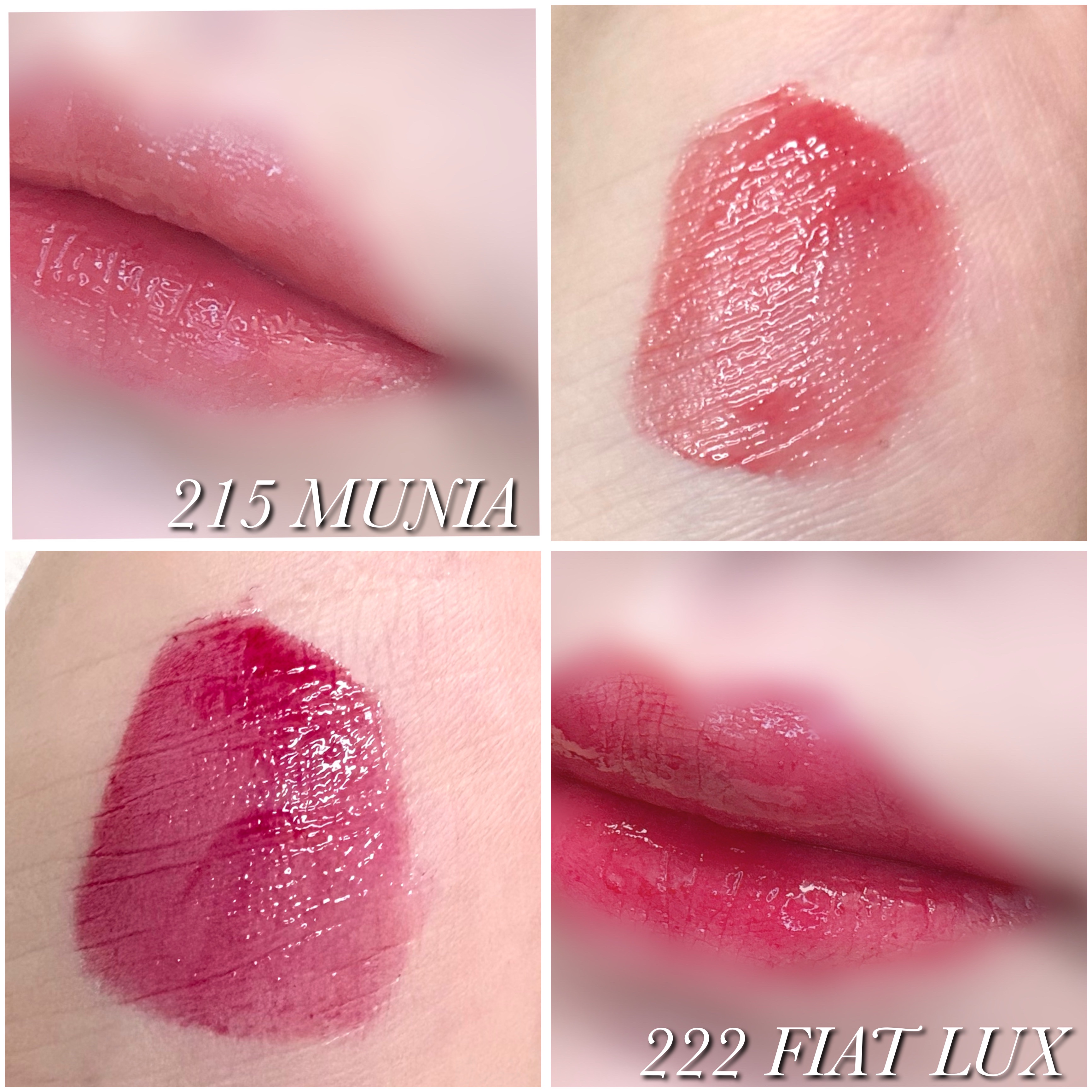 ブラーグロイリップティント/Dinto/リップティントを使ったクチコミ（2枚目）