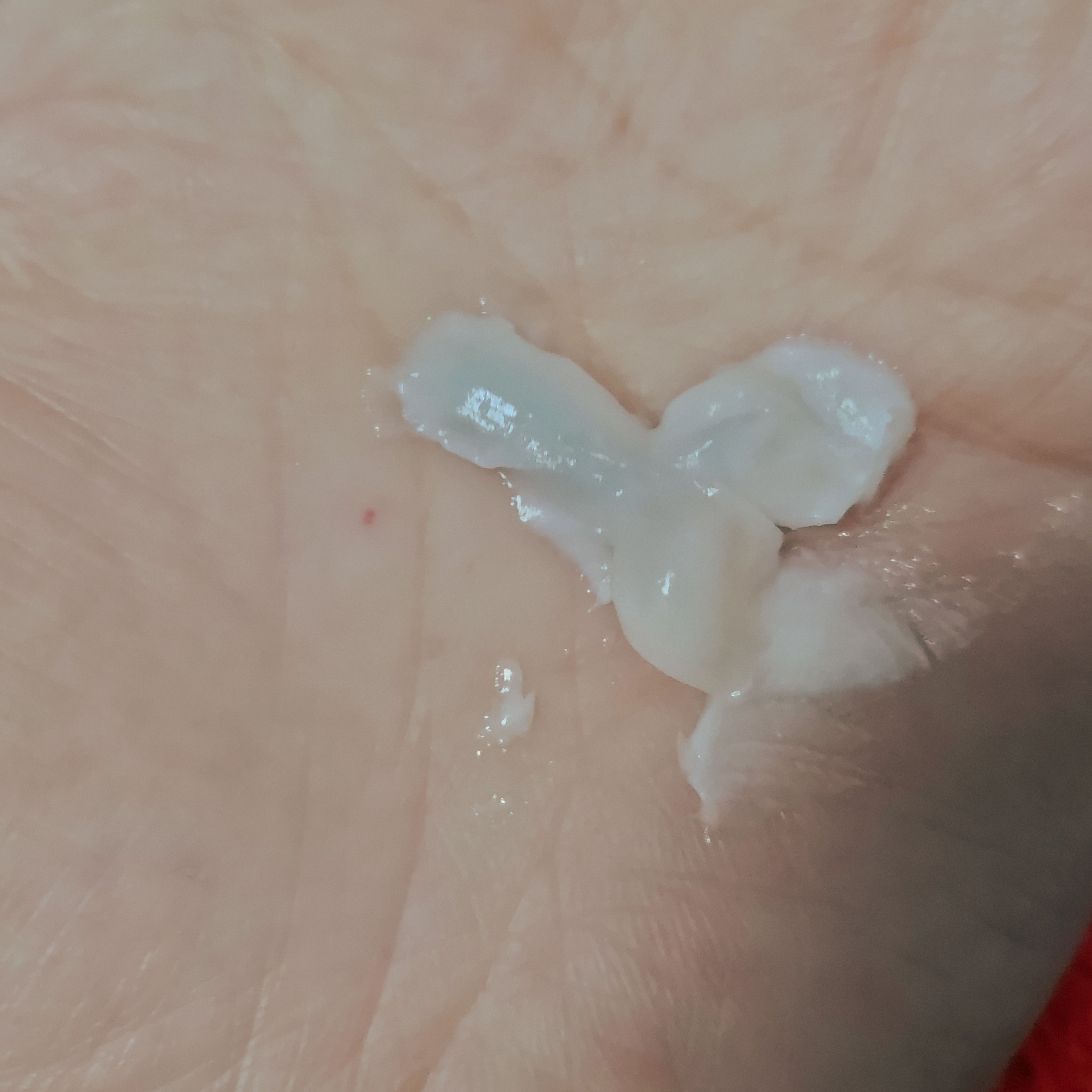 リサージ クリーミィソープa/リサージ/洗顔フォームを使ったクチコミ（3枚目）