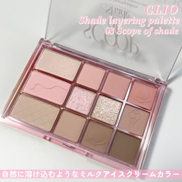 シェード アンド シャドウ パレット/CLIO/アイシャドウパレットを使ったクチコミ（4枚目）