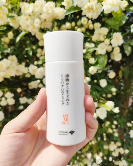 植物から生まれたミツバチUVミルク/アピセラピーコスメティクス/日焼け止めミルクを使ったクチコミ(1枚目)