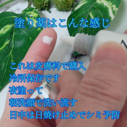 を使ったクチコミ(2枚目)