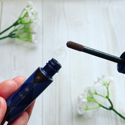 チップオン パウダーアイブロウ/グレイシィ/パウダーアイブロウを使ったクチコミ(4枚目)