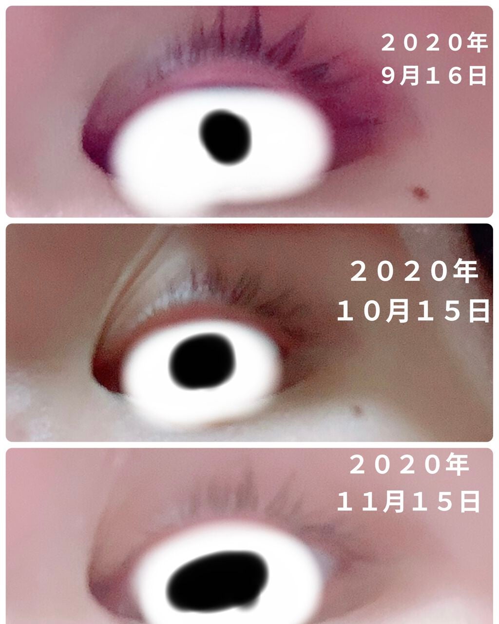 ラッシュジェリードロップ EX/MAJOLICA MAJORCA/まつげ美容液を使ったクチコミ(2枚目)