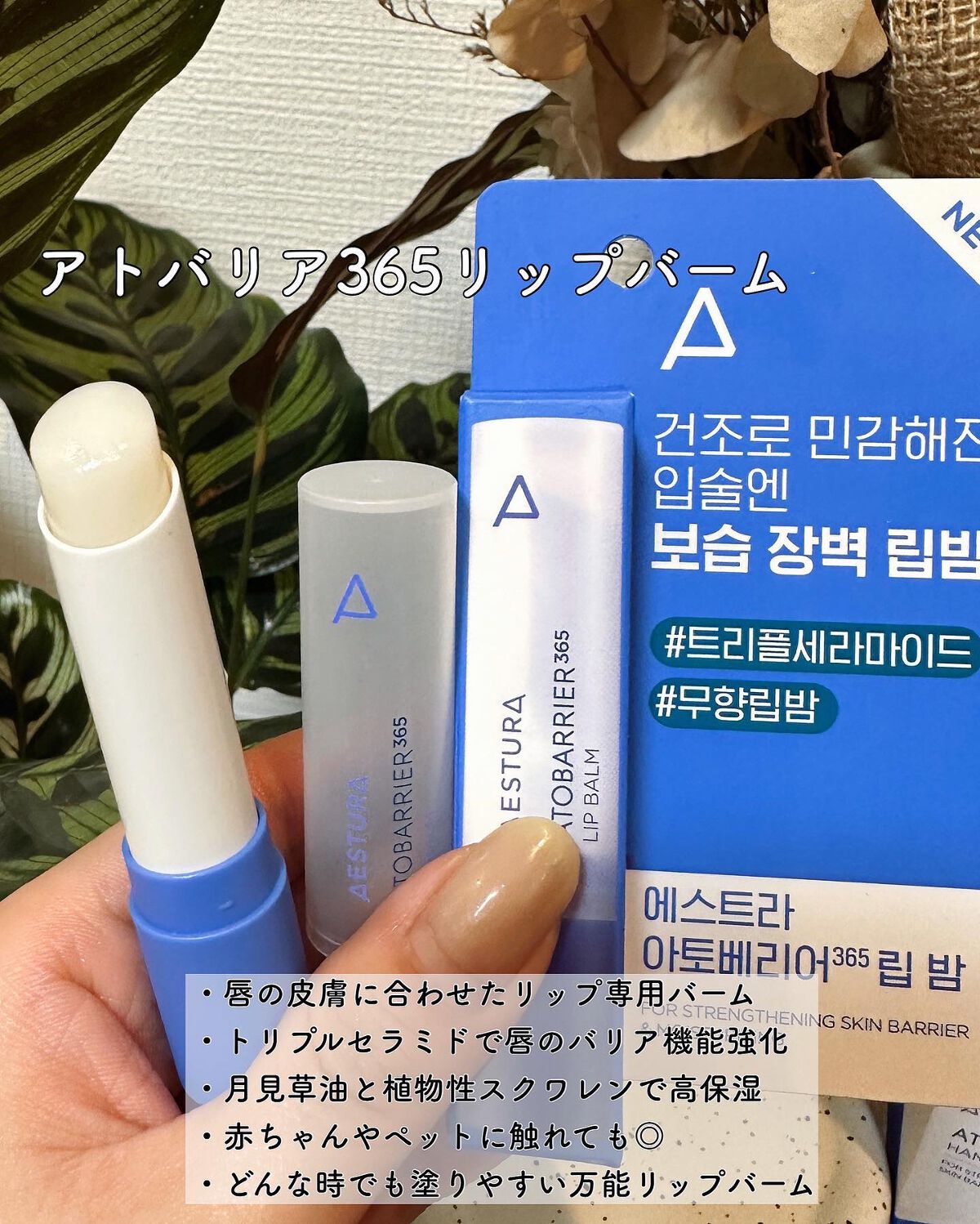 mochi on LIPS 「普段から愛用しているエストラ。韓国のアモーレパシフィック社..」(3枚目)