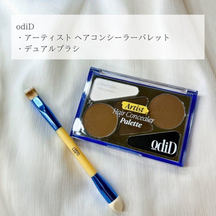 アーティストライン ヘアコンシーラーパレット/odiD/その他スタイリングを使ったクチコミ(2枚目)