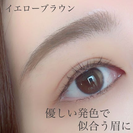 ロングステイ アイブロウパウダー&ペンシル/ブリリアージュ/アイブロウペンシルを使ったクチコミ(3枚目)