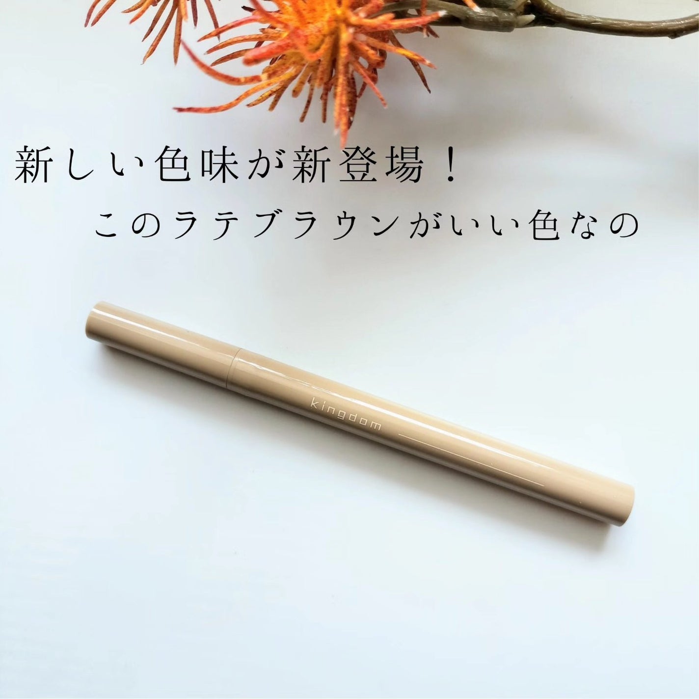 キングダム リキッドアイライナーR1/キングダム/リキッドアイライナーを使ったクチコミ(2枚目)