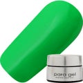 パラジェル DNE05 ライム