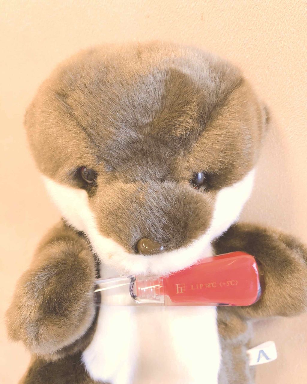 38°C / 99°F リップトリートメント (リップ美容液)/UZU BY FLOWFUSHI/リップケアを使ったクチコミ（1枚目）