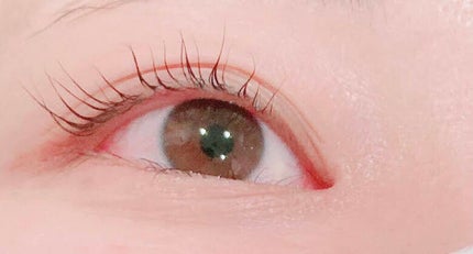 エグータム/アルマダスタイル/まつげ美容液を使ったクチコミ(2枚目)