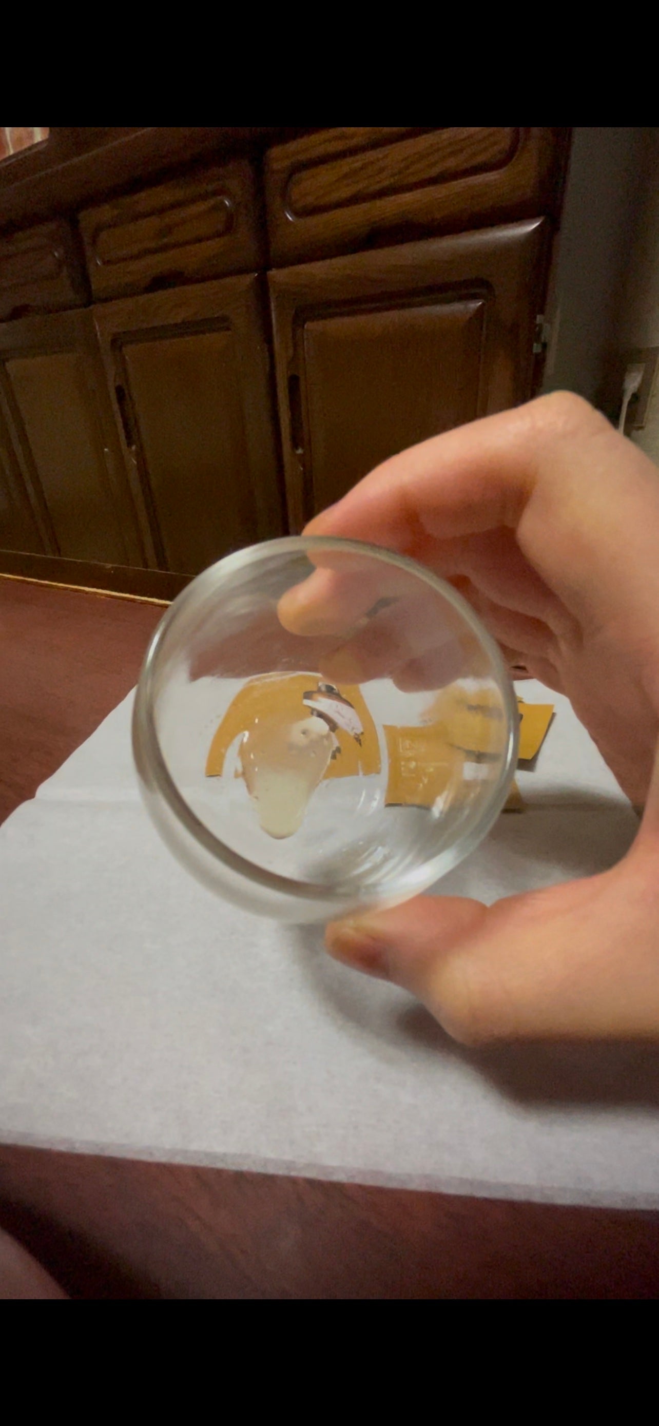 N organic Basic コンディショニング VCエッセンス/N organic/美容液を使ったクチコミ(3枚目)