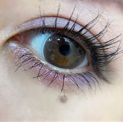 イメージ「マヤ」 アイシャドウパレット/ZEESEA/アイシャドウパレットを使ったクチコミ(4枚目)