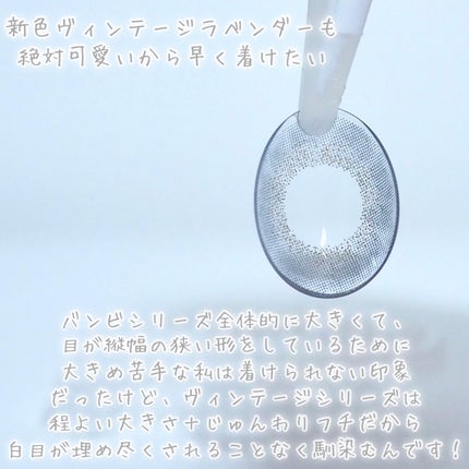 Angelcolor Bambi Series Vintage 1day/AngelColor/ワンデー(1DAY)カラコンを使ったクチコミ(8枚目)