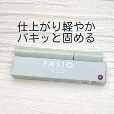 パーマネントカール フィクサー WP 01レッドブラック/FASIO/マスカラ下地・トップコートの画像