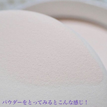 ブライト&ブルーム 24 スキンケアパウダー/SRICHAND/ルースパウダーを使ったクチコミ(6枚目)