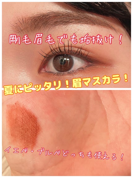 ãã£ã«ã çã«ã©ãŒ/ããžã£ãŽã¥/çãã¹ã«ã©ã䜿ã£ãã¯ãã³ãïŒ1æç®ïŒ