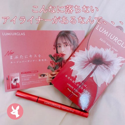 スキルレスライナー/LUMIURGLAS/リキッドアイライナーを使ったクチコミ(1枚目)