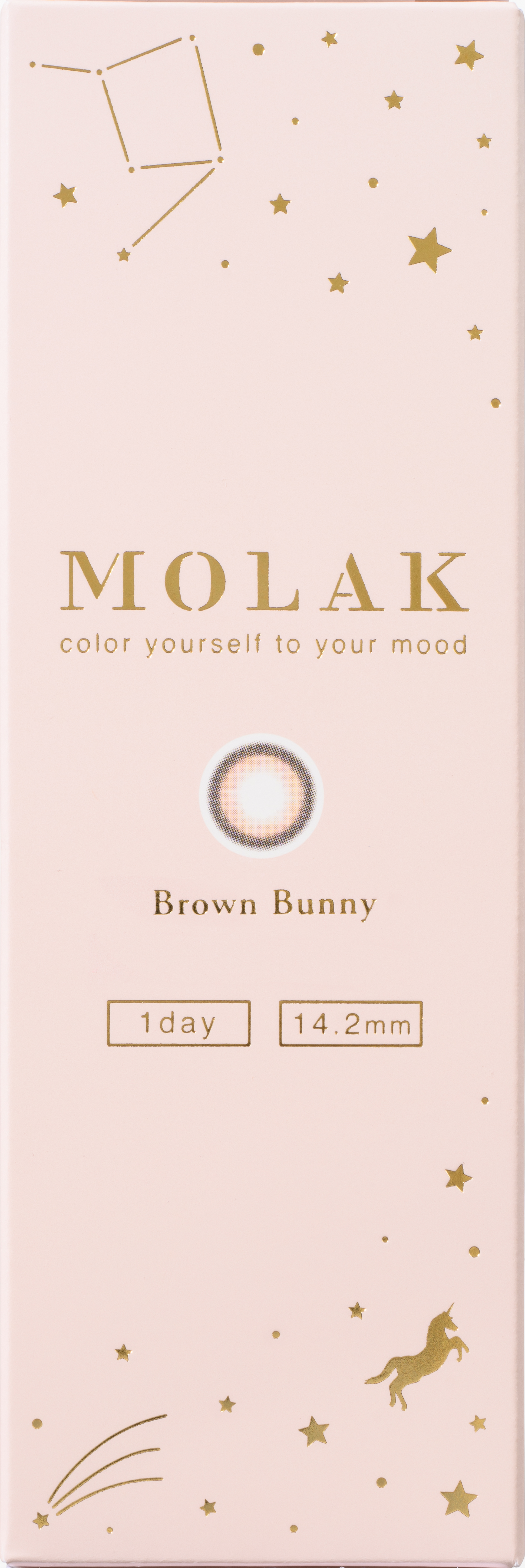 MOLAK 1day ブラウンバニー