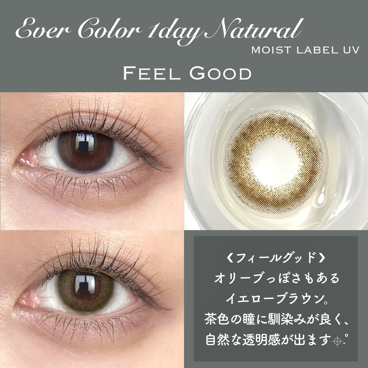 エバーカラーワンデーナチュラル モイストレーベルUV アンニュイルック/エバーカラー/ワンデー（１DAY）カラコンを使ったクチコミ（3枚目）