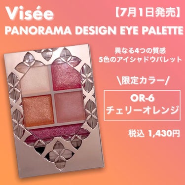 パノラマデザイン アイパレット/Visée/アイシャドウパレットを使ったクチコミ（1枚目）