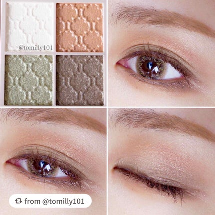 グロッシーリッチ アイズ N/Visée/アイシャドウパレットを使ったクチコミ(3枚目)