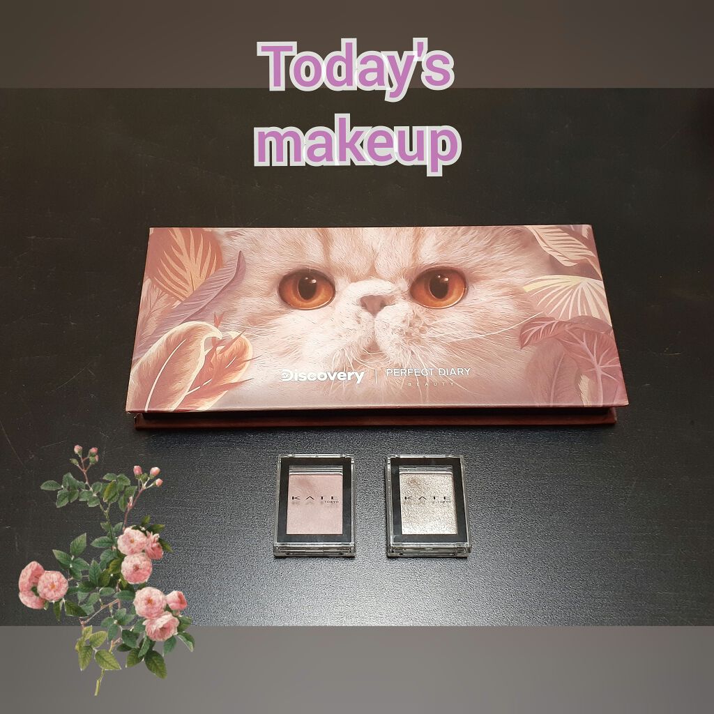 エクスプローラ12色 動物アイシャドウパレット/PERFECT DIARY/アイシャドウパレットを使ったクチコミ（1枚目）