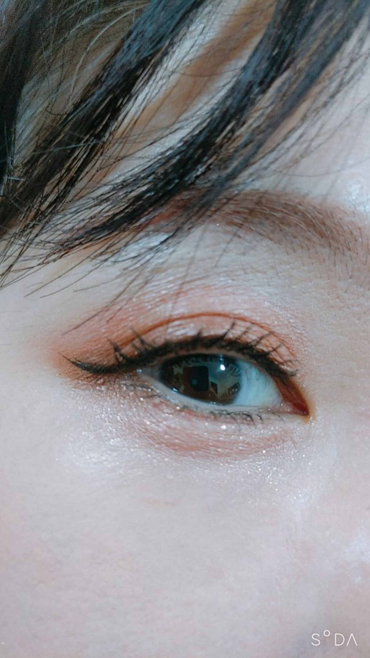 ロイヤルヴィンテージ アイズ/リンメル ロンドン/アイシャドウパレットを使ったクチコミ(4枚目)