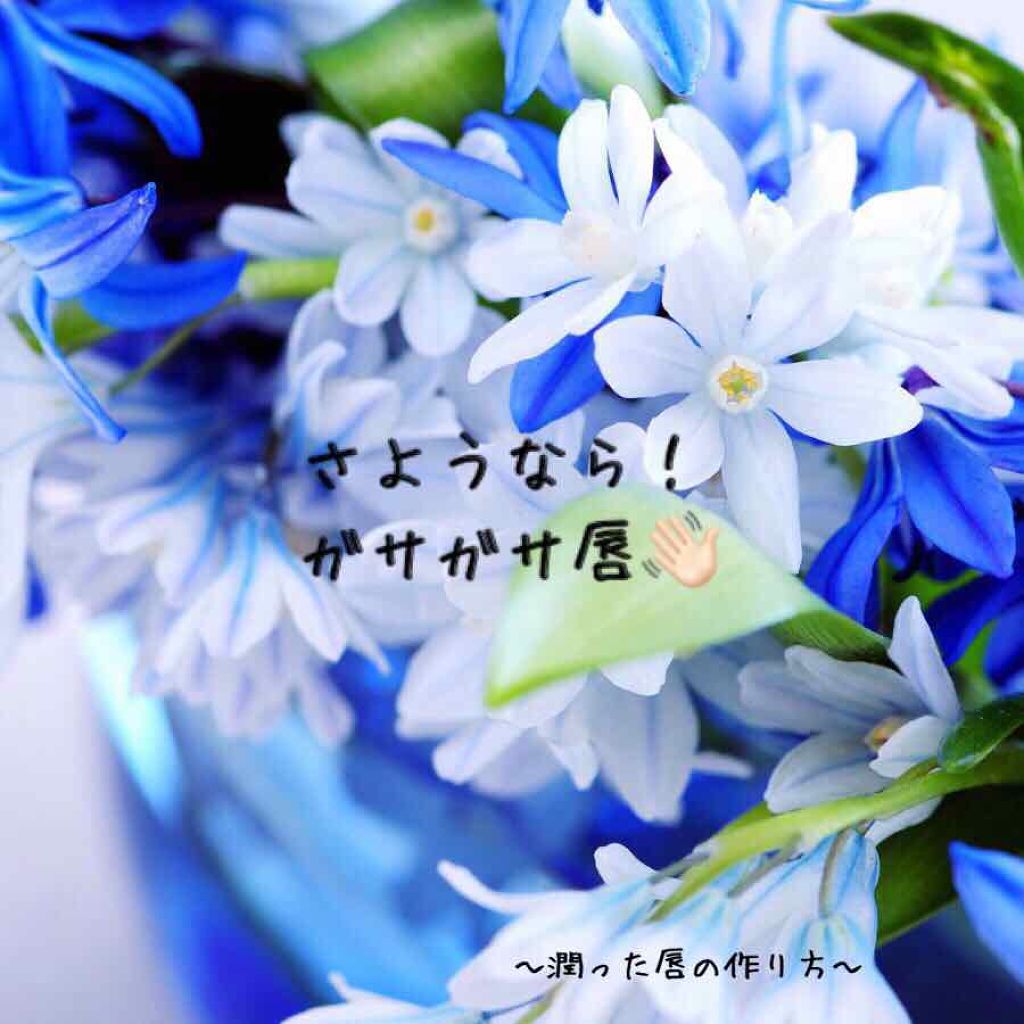 モイストリップ(無香料)/ユリアージュ/リップクリームを使ったクチコミ（1枚目）