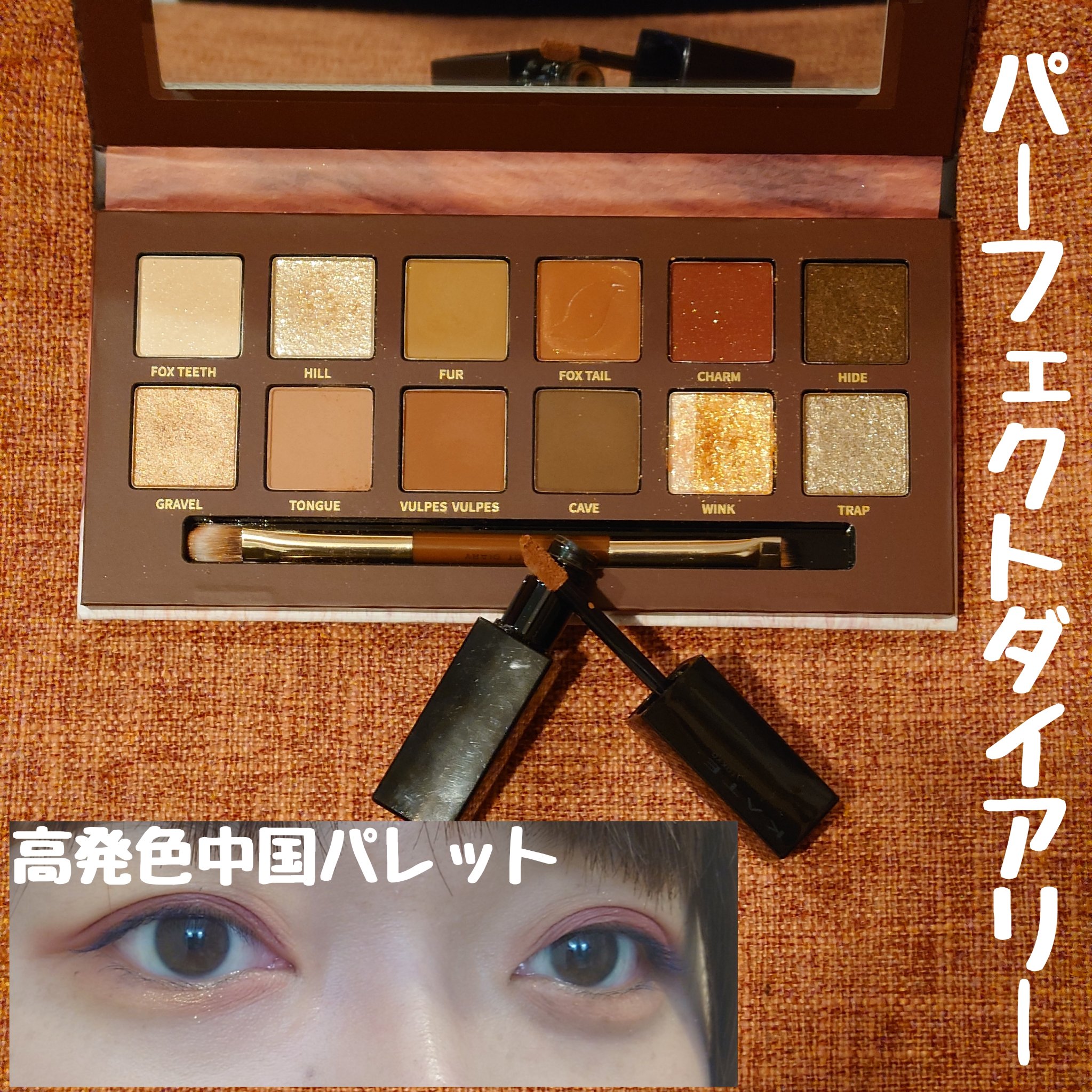 エクスプローラ12色 動物アイシャドウパレット/PERFECT DIARY/アイシャドウパレットを使ったクチコミ（1枚目）