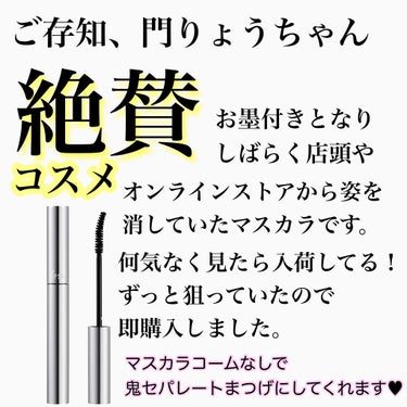 ラッシュモデリング マスカラ/IPSA/マスカラを使ったクチコミ（4枚目）