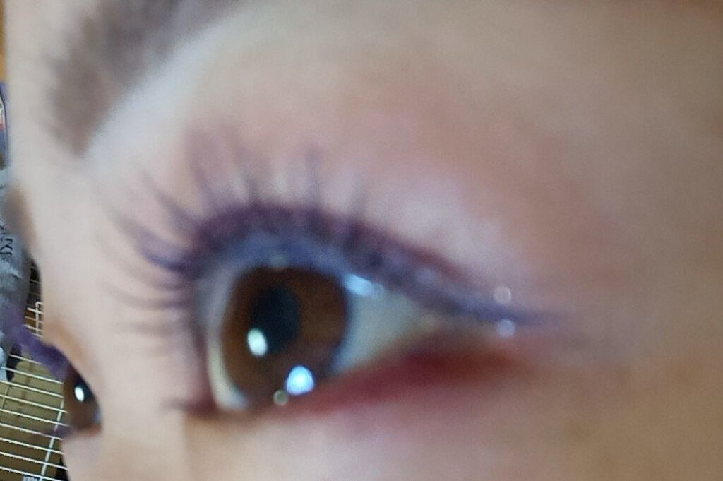 クイックラッシュカーラー/キャンメイク/マスカラ下地を使ったクチコミ（2枚目）