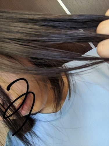 LUMIELINA レプロナイザー3Dplusのクチコミ「こんにちはヽ(^0^)ノ         リンゴです♡♡
初投稿です!!
今回は、私が劇的に髪.....」（1枚目）