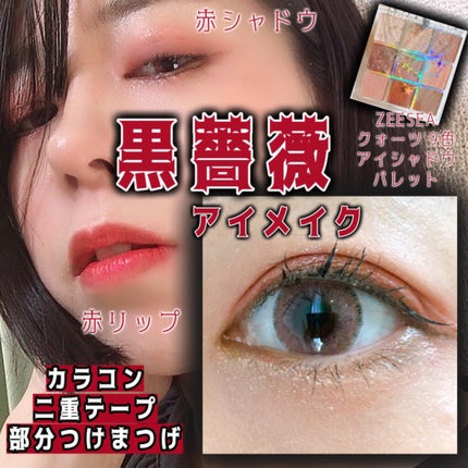 クォーツ 9色アイシャドウパレット(ドリームランドアイシャドウ)/ZEESEA/アイシャドウパレットを使ったクチコミ(1枚目)