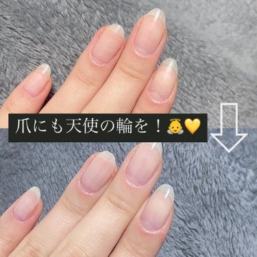 ネイルホリック Classic color PK808/ネイルホリック/マニキュアの画像