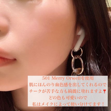 ブラーフィニシュシャドウパレット/Dinto/アイシャドウパレットを使ったクチコミ(6枚目)