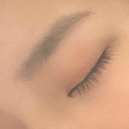 レイヤードアイズ/KiSS/アイシャドウパレットを使ったクチコミ(3枚目)