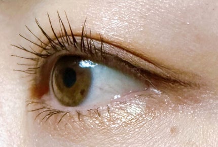 クイックラッシュカーラー/キャンメイク/マスカラ下地を使ったクチコミ(3枚目)