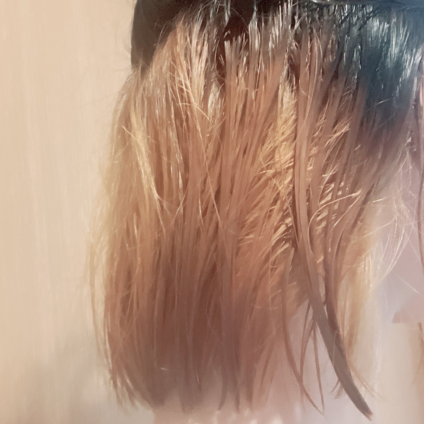 ブリーチ/フレッシュライト/ブリーチ剤を使ったクチコミ(9枚目)