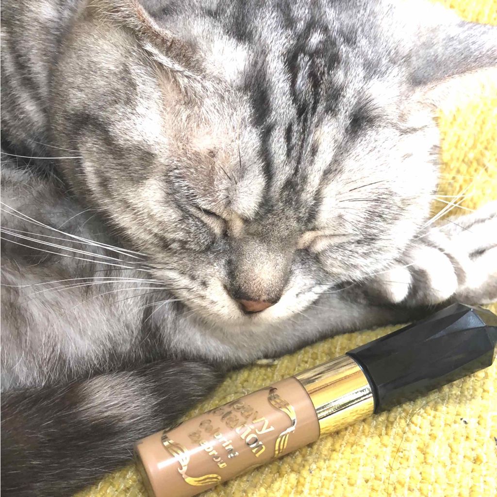 カラーリングアイブロウ/ヘビーローテーション/眉マスカラを使ったクチコミ(1枚目)