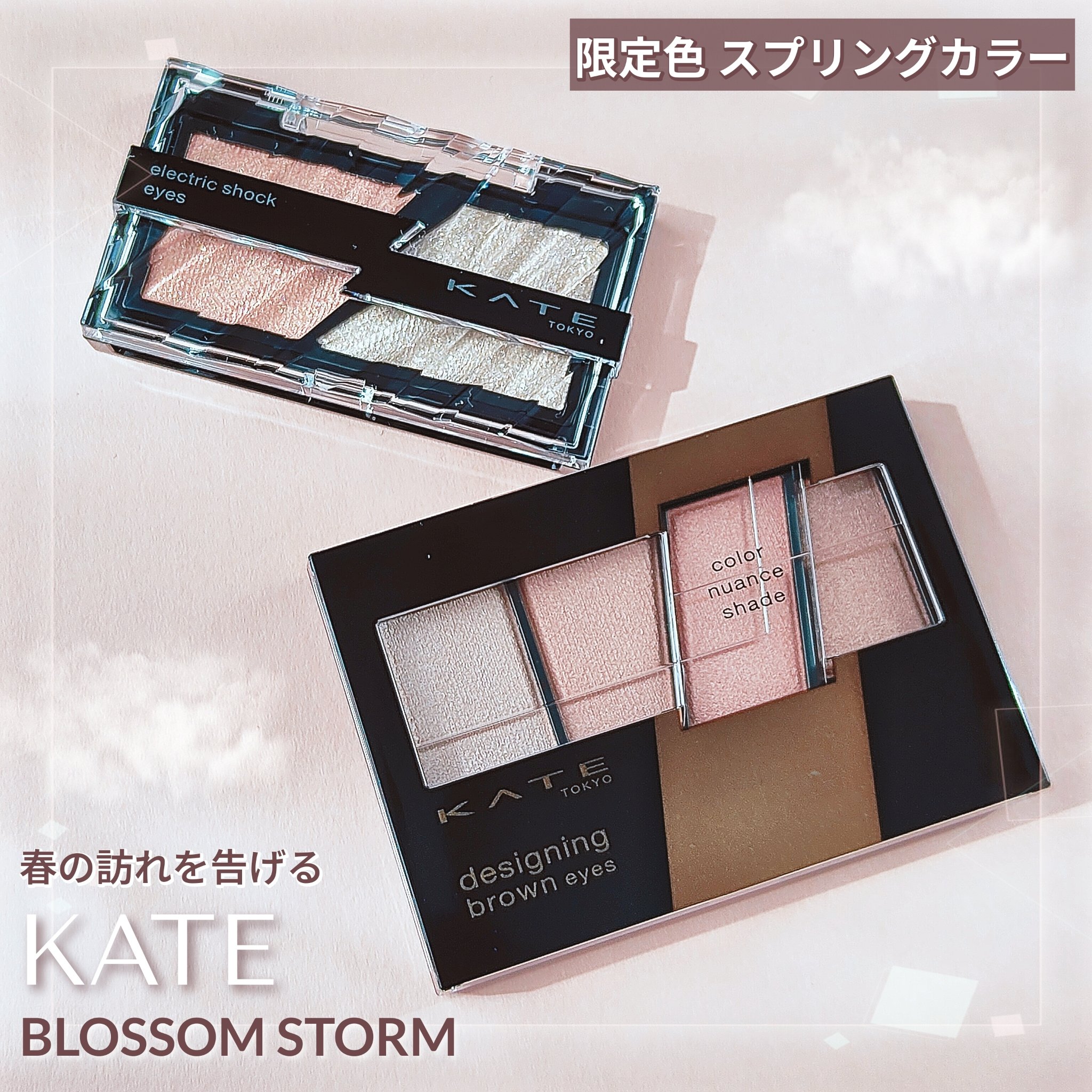 エレクトリックショックアイズ /KATE/アイシャドウパレットを使ったクチコミ（1枚目）