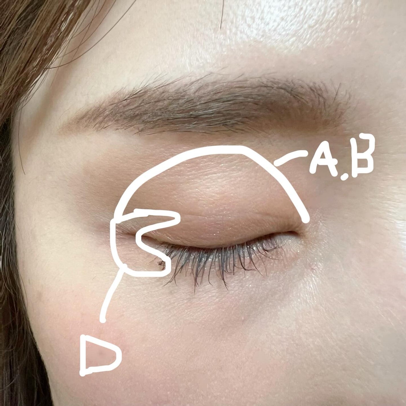 ピュア クラリティ シアー アイシャドウ/est/アイシャドウパレットを使ったクチコミ(7枚目)