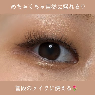 リトルウィンクシリーズ シークレットeye/Diamond Lash(デイコレクション)/つけまつげを使ったクチコミ（2枚目）