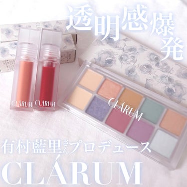 ファーストバードアイシャドウパレット/CLARUM/アイシャドウパレットを使ったクチコミ（1枚目）