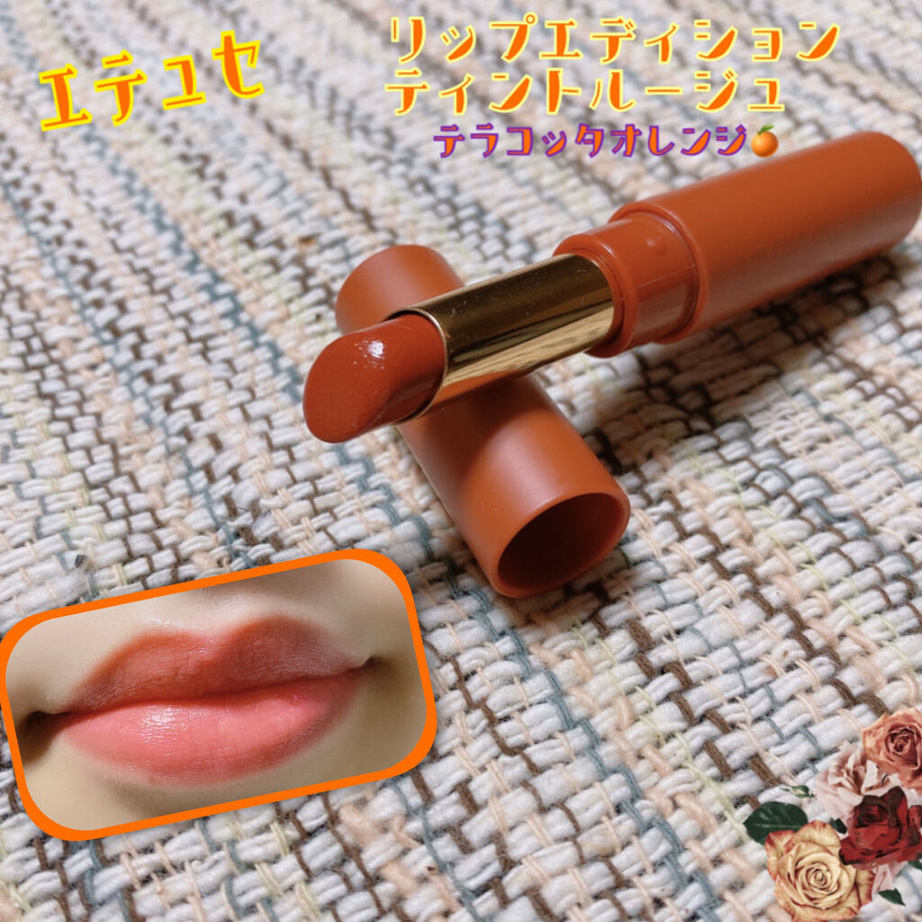 エテュセ リップエディション(ティントルージュ) 05 テラコッタオレンジ/ettusais/リップティントを使ったクチコミ（1枚目）