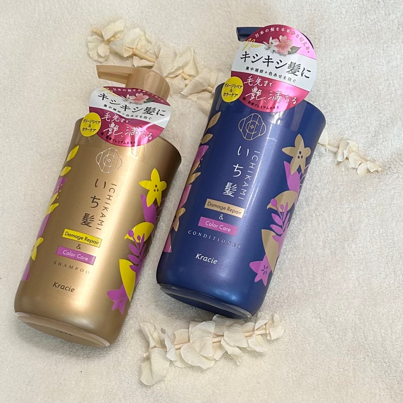 ãã¡ãŒãžãªãã¢ïŒã«ã©ãŒã±ã¢ ã·ã£ã³ããŒ/ã³ã³ãã£ã·ã§ããŒ/ãã¡é«ª/åžè²©ã·ã£ã³ããŒã䜿ã£ãã¯ãã³ãïŒ1æç®ïŒ