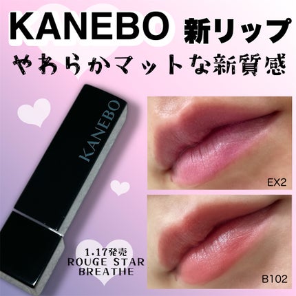 カネボウ ルージュスターブリーズ/KANEBO/口紅を使ったクチコミ(1枚目)
